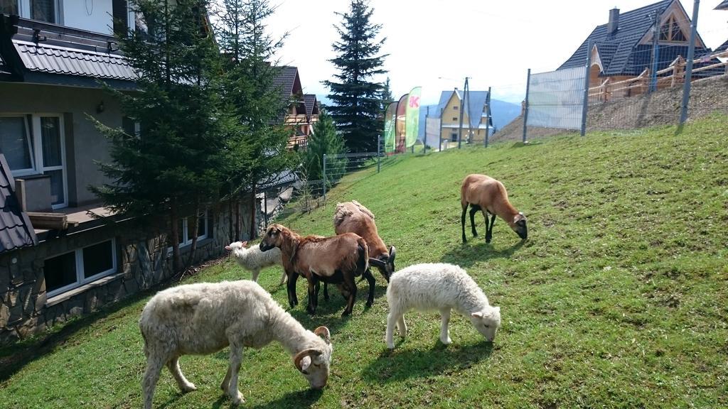 Willa Skorusyna Gliczarów Dış mekan fotoğraf